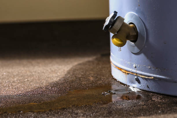 Best Flood restoration services  in Ranchos De Taos, NM