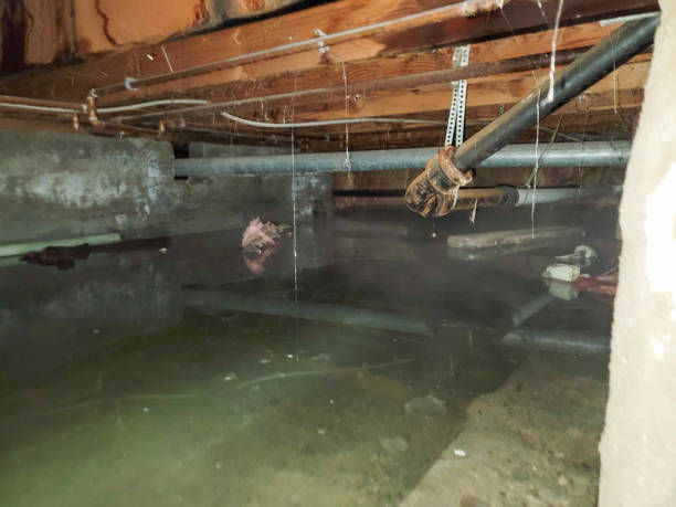 Best 24-hour water damage restoration  in Ranchos De Taos, NM