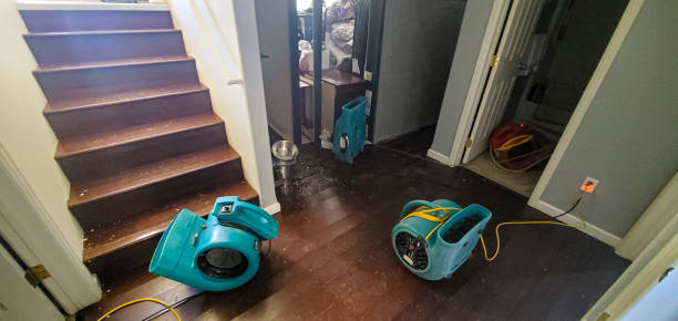  Ranchos De Taos, NM Water damage restoration Pros