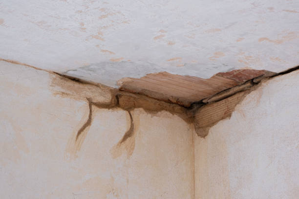 Best Water damage restoration near me  in Ranchos De Taos, NM