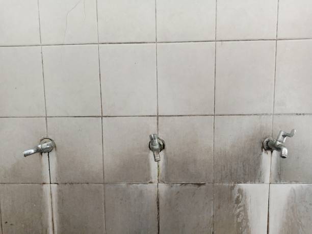 Water damage restoration mold remediation in Ranchos De Taos, NM