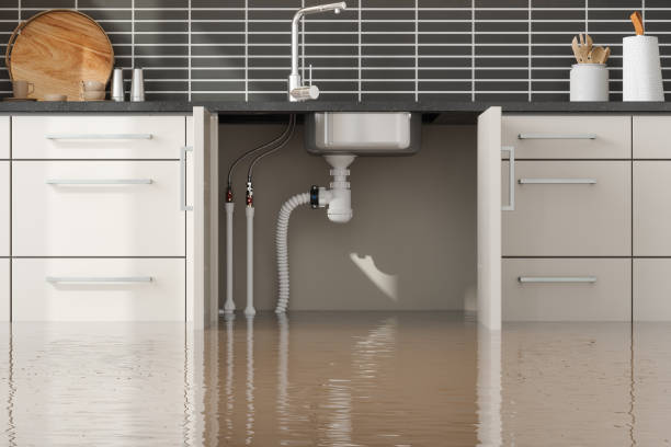Best Flooded house restoration  in Ranchos De Taos, NM