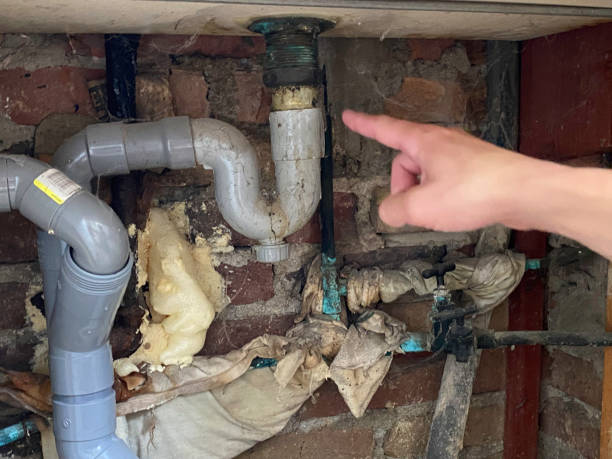 Best Mold removal after water damage  in Ranchos De Taos, NM
