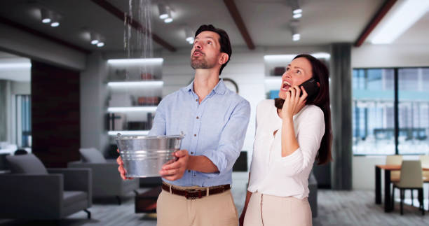 Best Water damage contractors near me  in Ranchos De Taos, NM